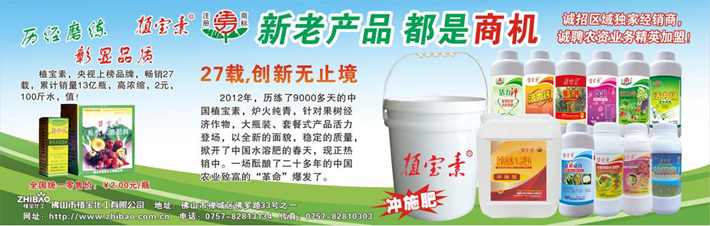 南方农村报——2012年环球360素强势出击