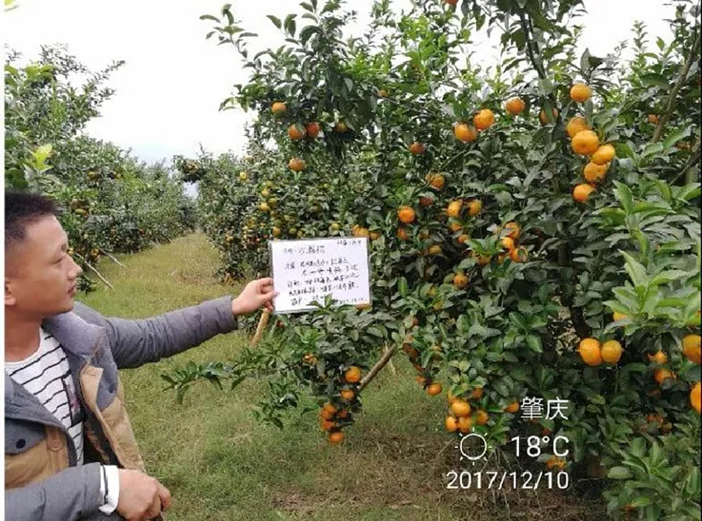 环球360