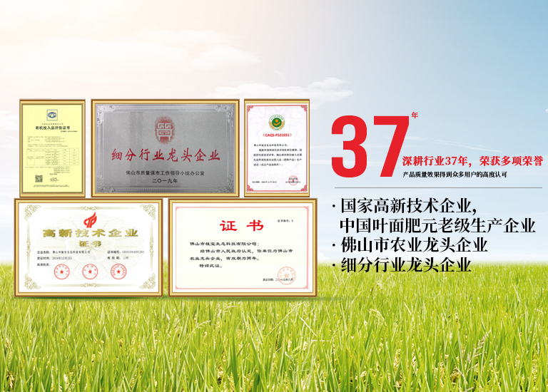 农用微生物菌剂在农业中的作用