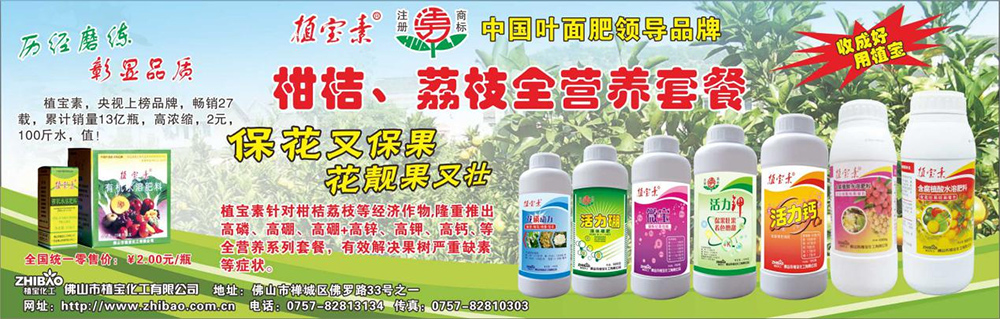 南方农村报——2012年环球360素强势出击