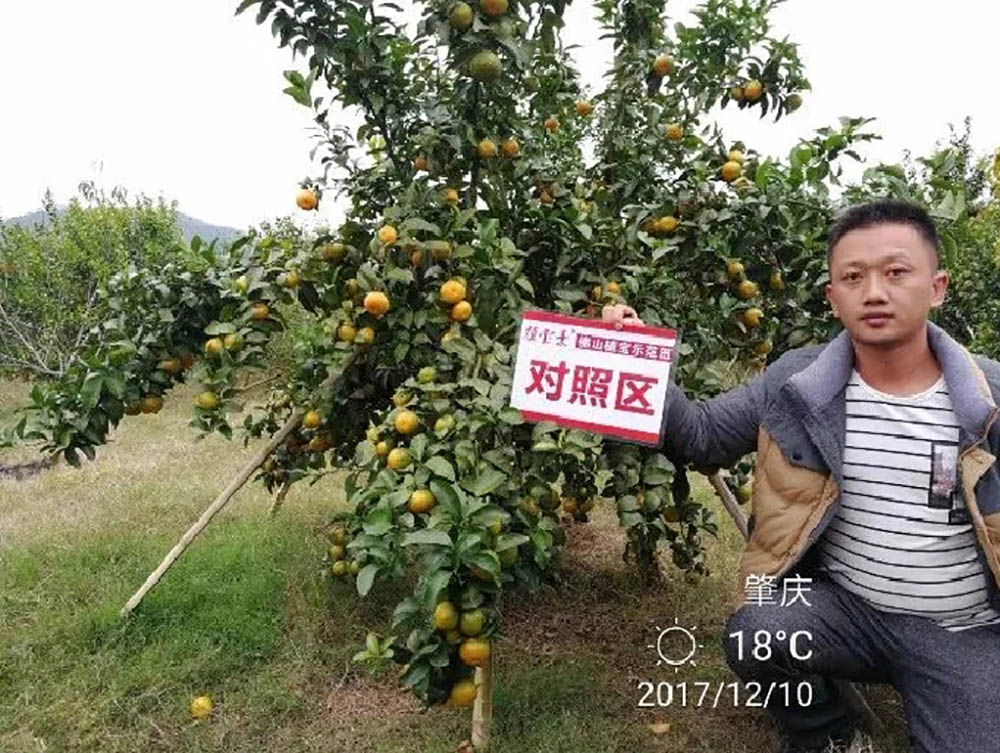 环球360