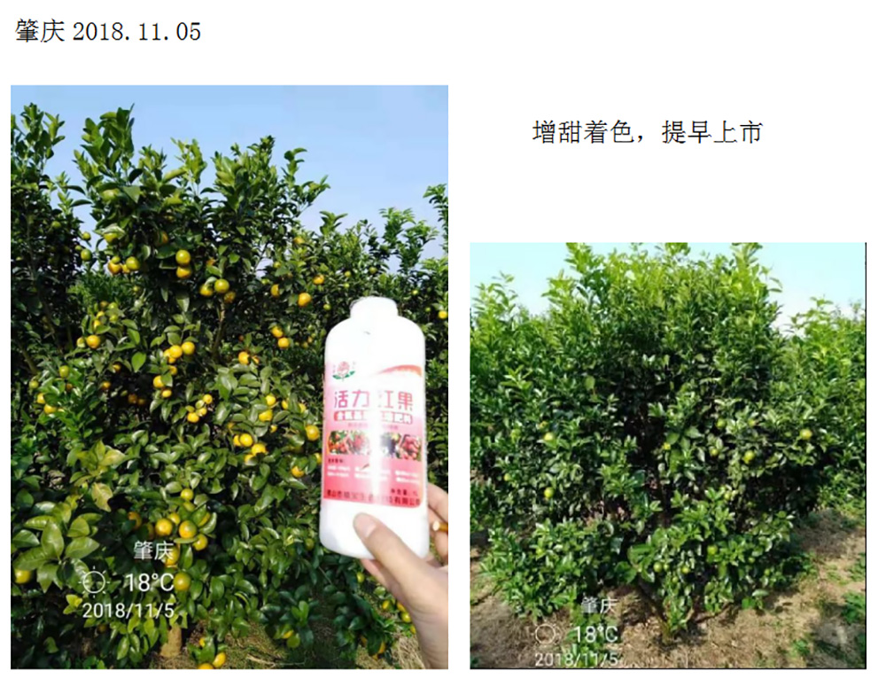 活力红果 （含氨基酸水溶肥料）_规格,图片,属性_环球360