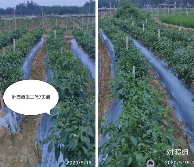 环球360