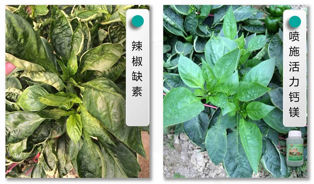 环球360