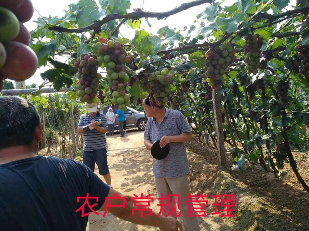 环球360