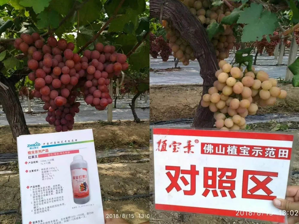 环球360