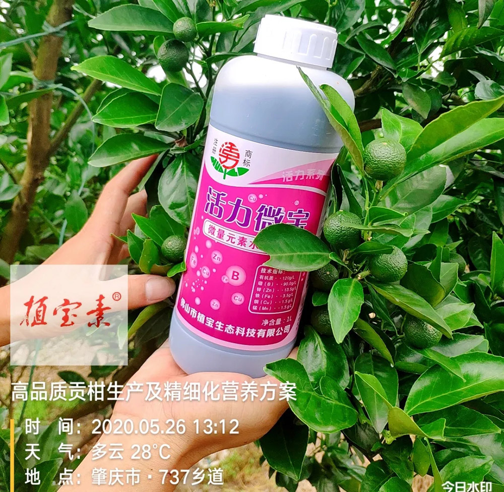 环球360