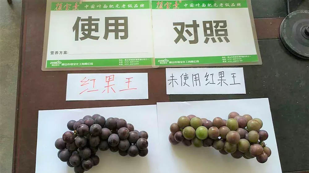 环球360