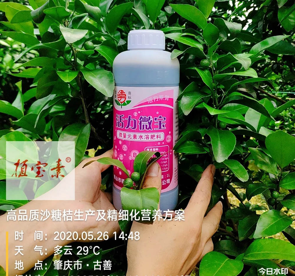 环球360